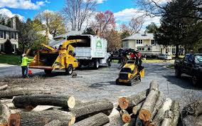 Best Lot and Land Clearing Services  in USA